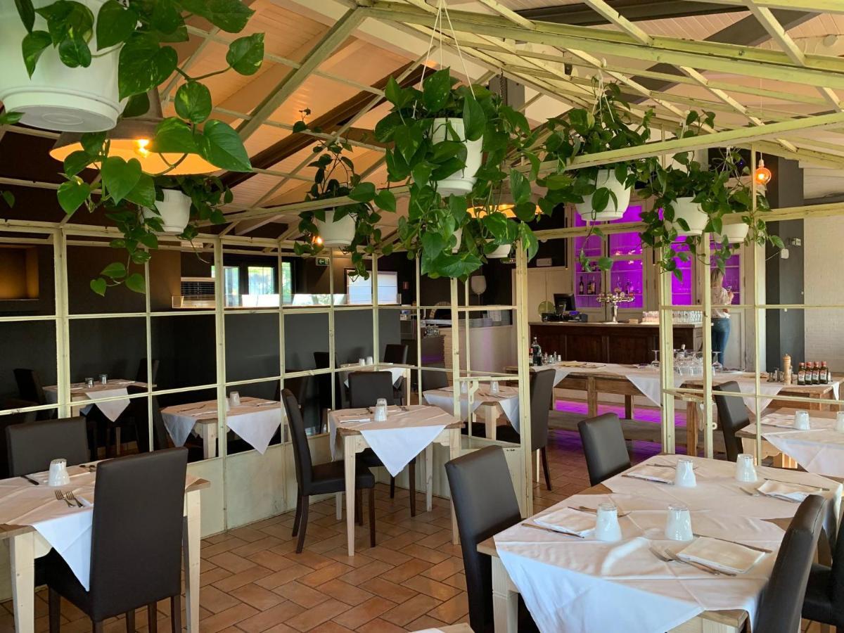 Hotel Mamiani & Relaxing Spa אורבינו מראה חיצוני תמונה